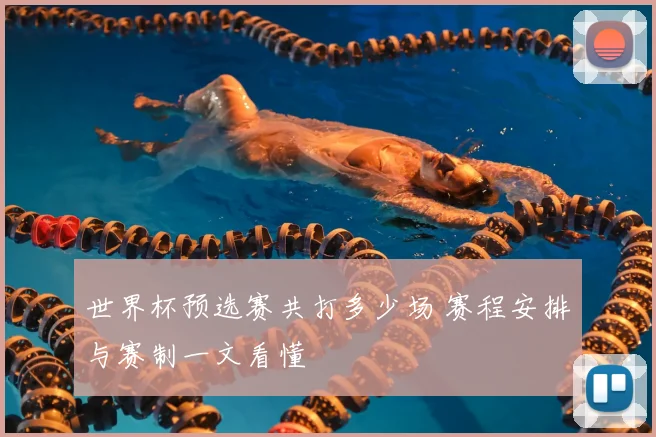 世界杯预选赛共打多少场 赛程安排与赛制一文看懂
