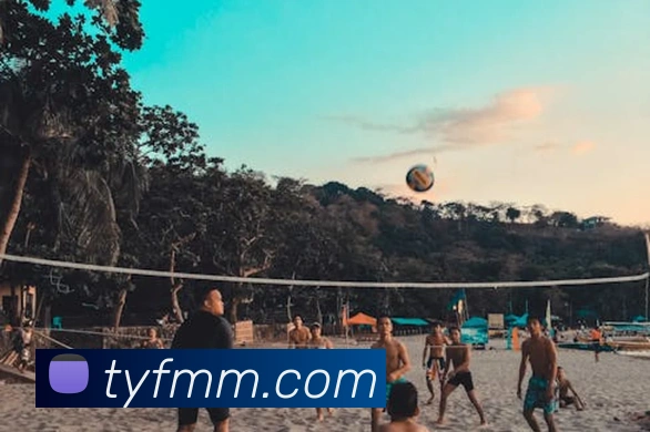 世界杯开户平台平台生态图